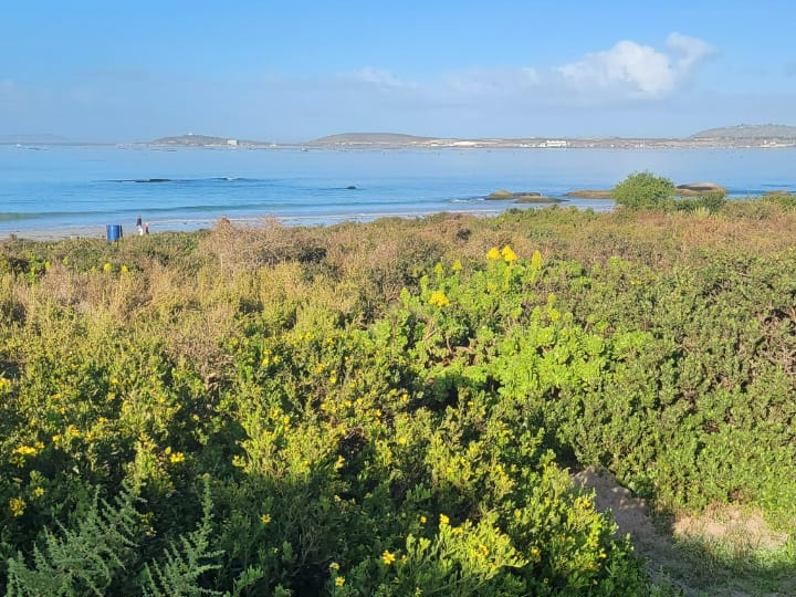 4 Bedroom Property for Sale in Bluewater Bay Western Cape